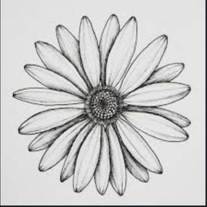 Meet your Posher, Daisy